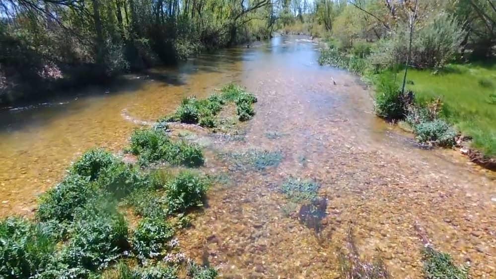 Coto La Güera (Río Ucero)