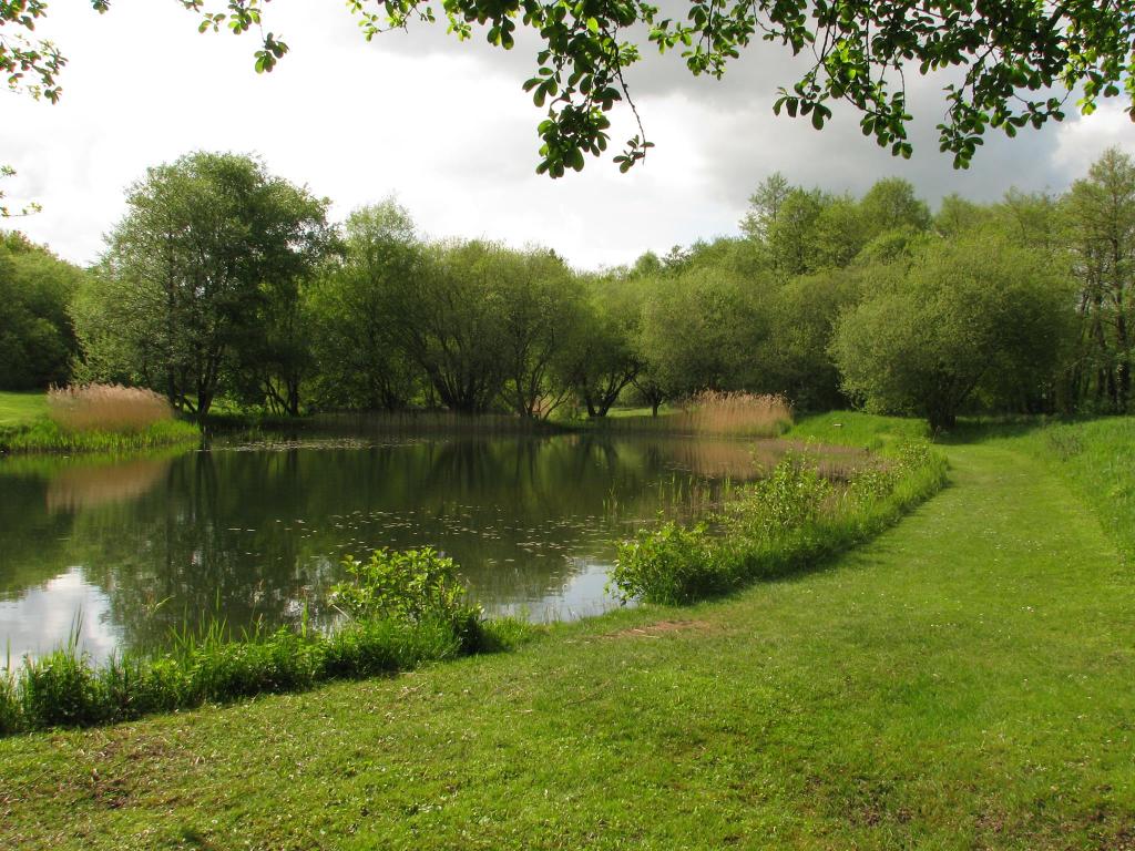 Rockbourne Trout Fishery