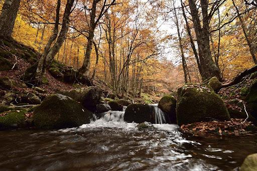 AREC Revinuesa (Río Revinuesa)