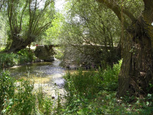 Coto Rábano (Río Duratón)