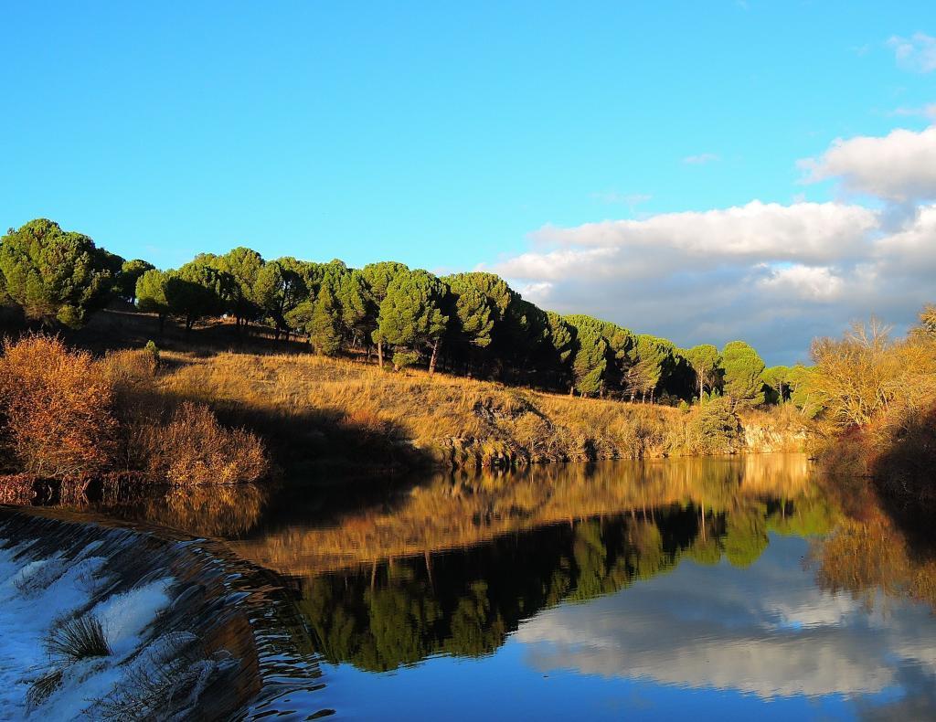 Coto Puente mediana (Río Eresma)