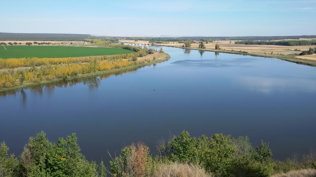 Escenario Deportivo Social de Ciprínidos Castronuño (Río Duero)