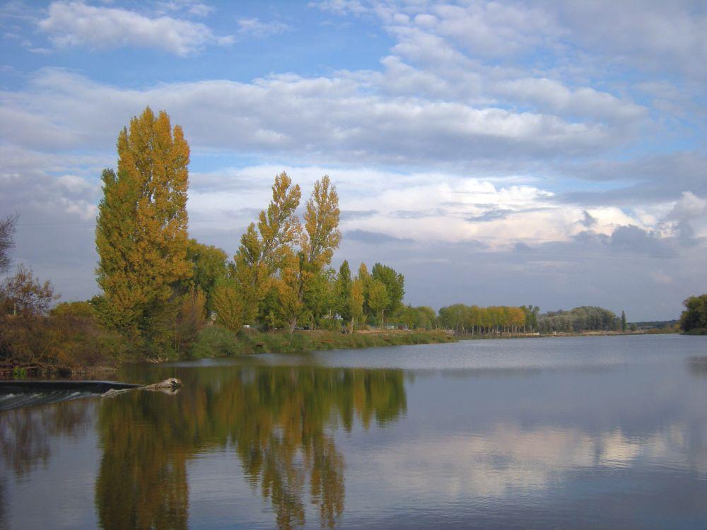 Escenario Deportivo Social de Ciprínidos San Miguel del Pinto (Río Due