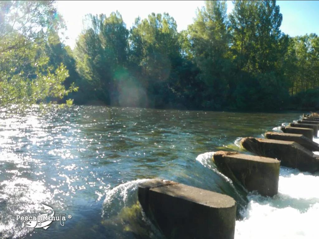 Escenario Deportivo Social de Salmónidos Camarzana (Río Esla)
