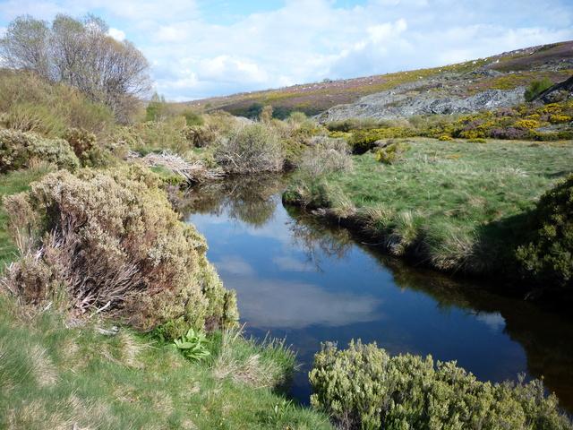 AREC Truchas (Arroyo de las Truchas)