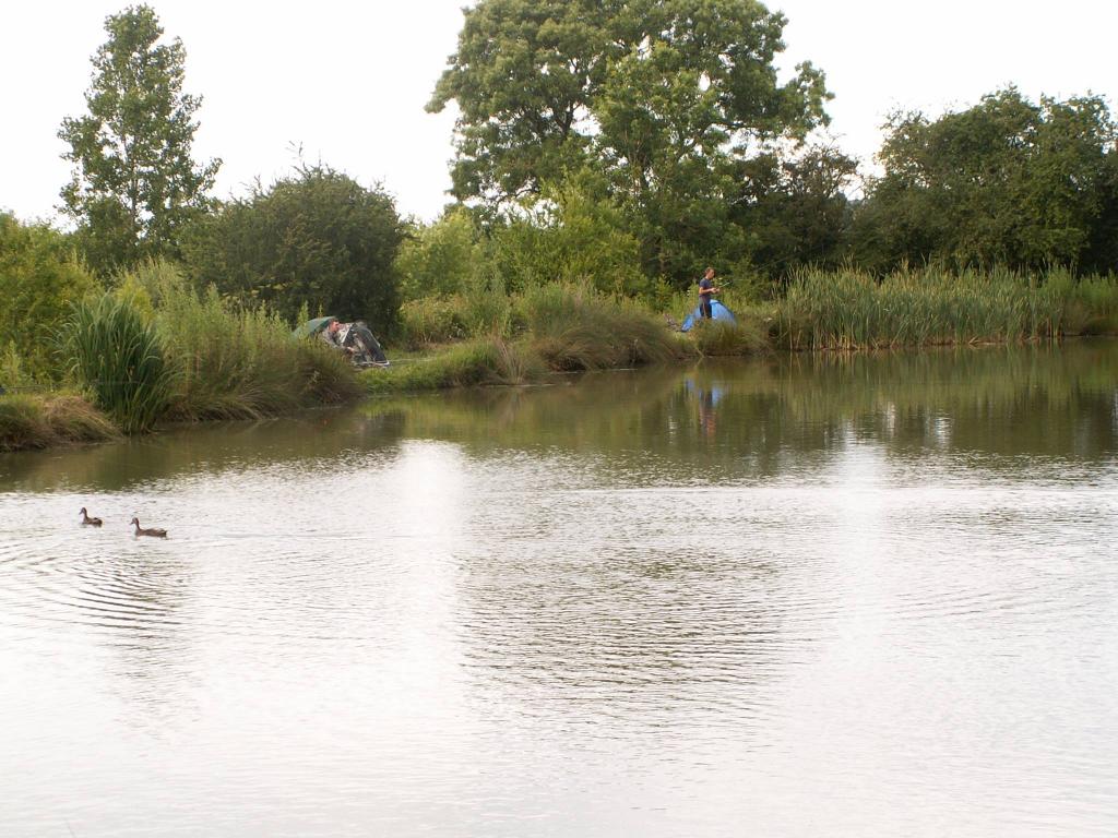 Butlers Hill Fishery