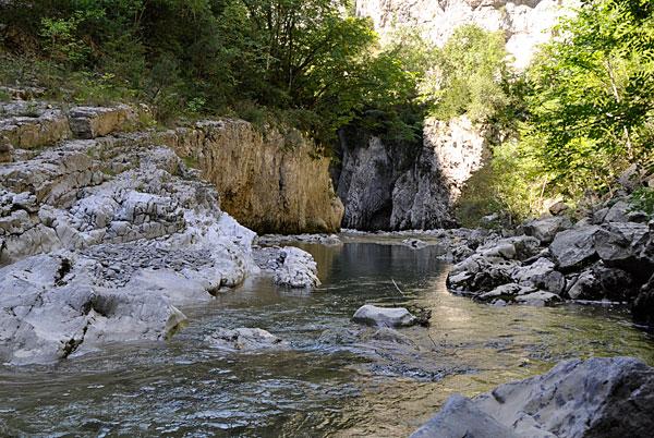 Coto Oza (Río Aragón)
