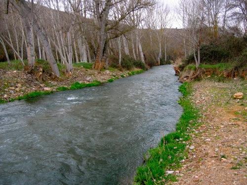 Coto Río Jiloca