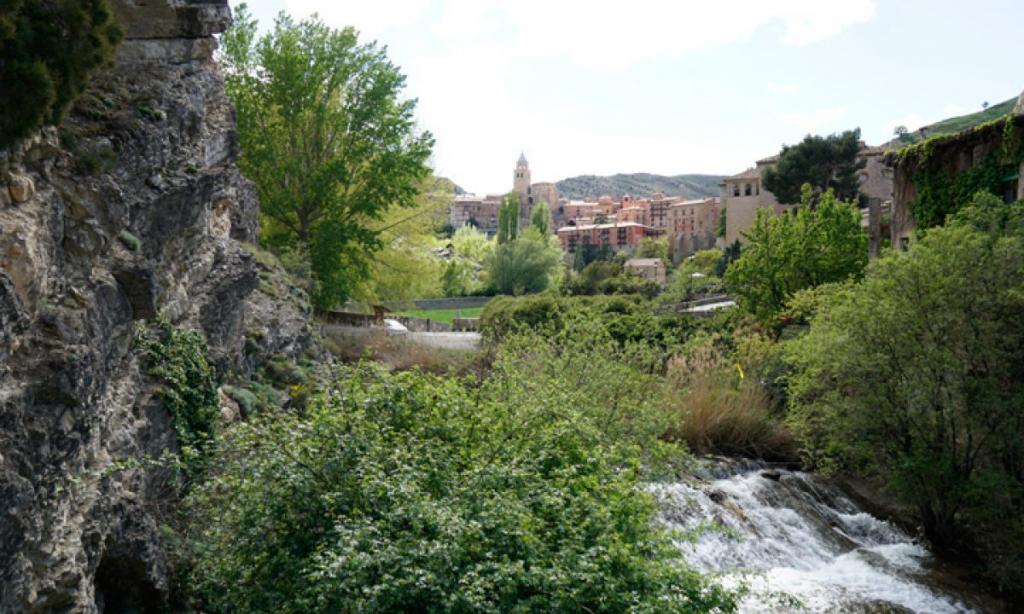 Coto Albarracin Servicio