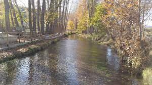 Coto Albarracin Superior