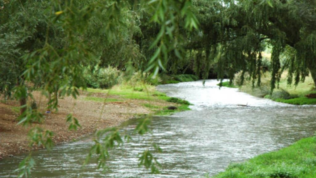 Río Jiloca (Burbáguena)
