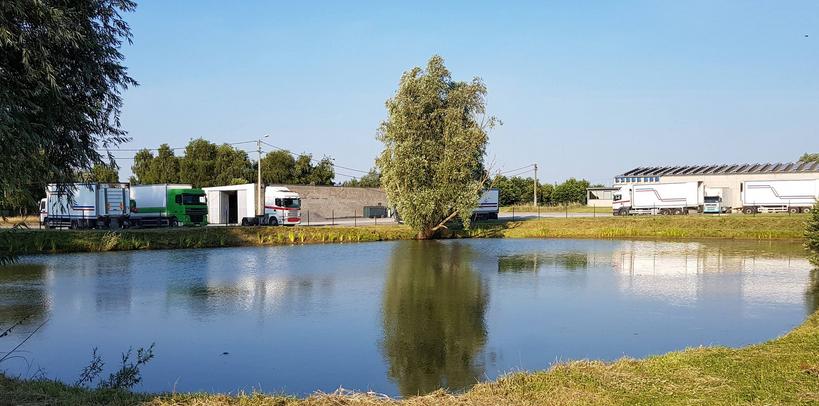 Kruidvissers vijver st.elooiswinkel