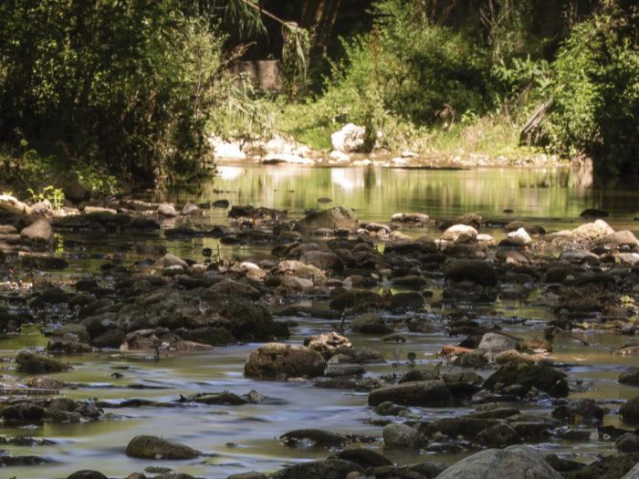 Coto Conca de Bitlles II