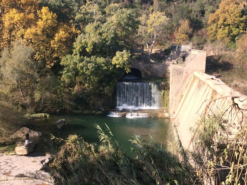 Coto Baix Bergueda II