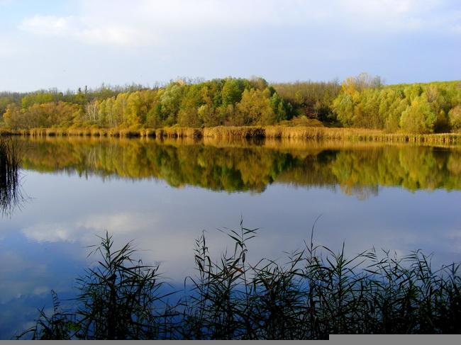 Sülysápi horgásztavak