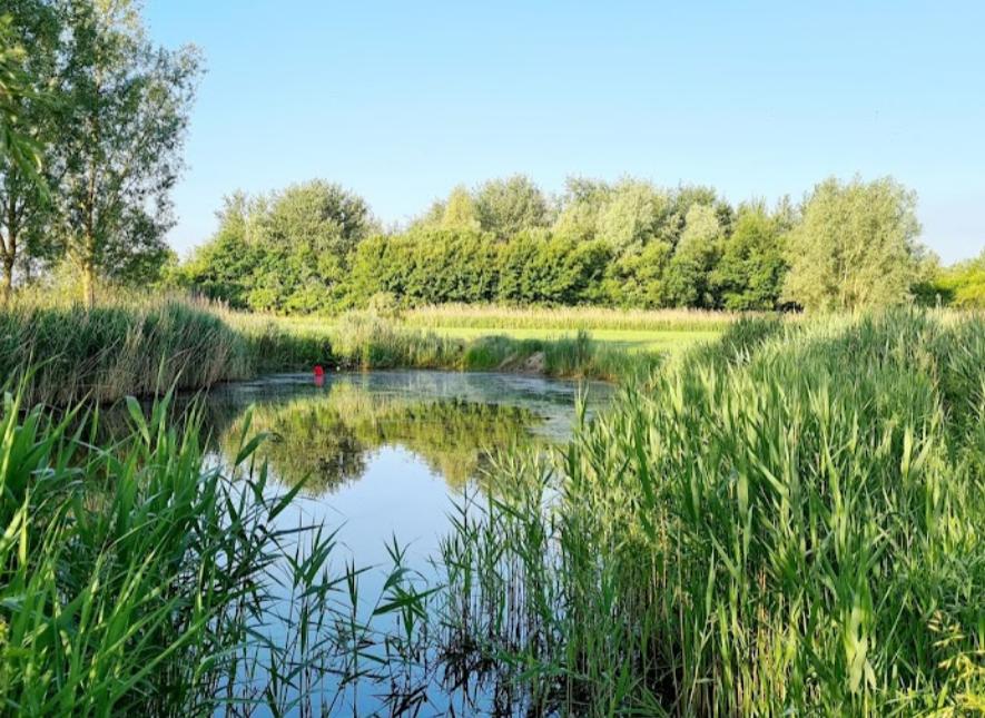 Dadizeelse lijnvissers / klubvijver