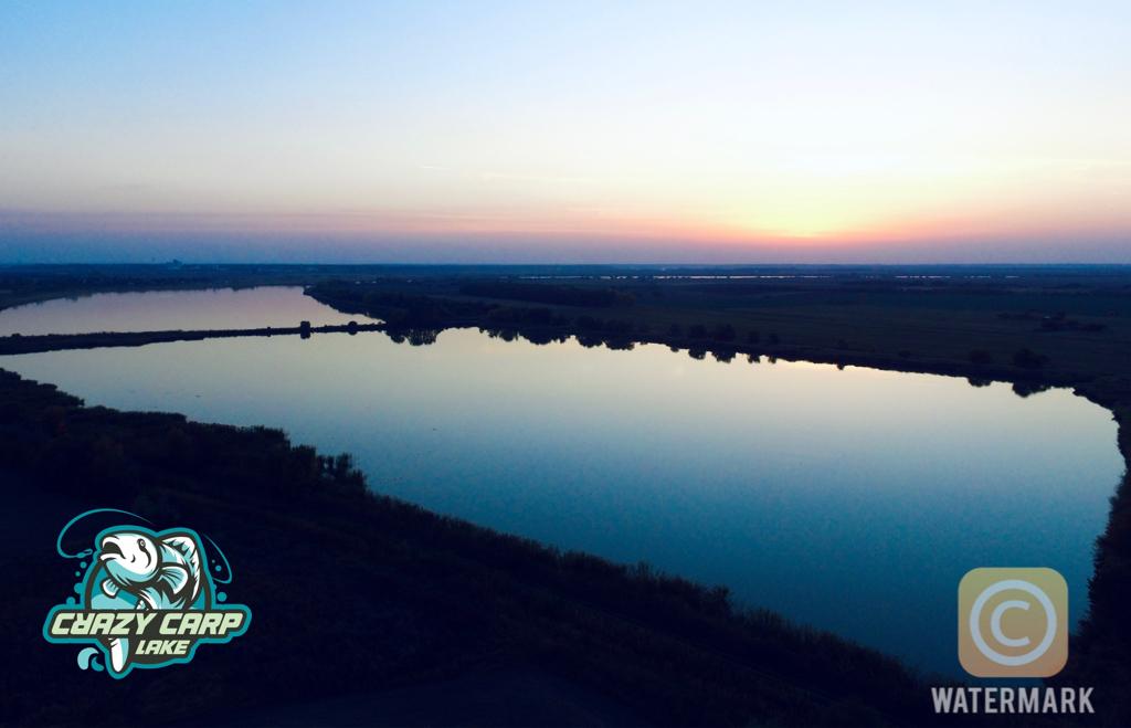Crazy Carp Lake