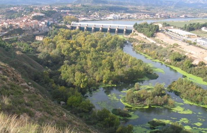 Coto Meandro de Flix