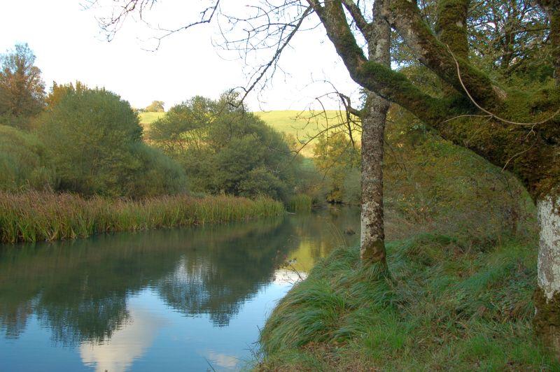 Coto Asiain (pesca de cangrejo señal)
