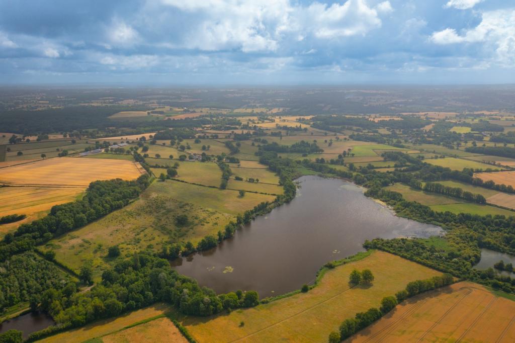 Les étangs de Saint-Jeanvrin