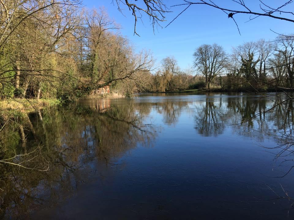 Willow Waters Fishery