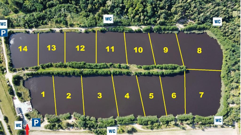 Łowisko Borowy Staw