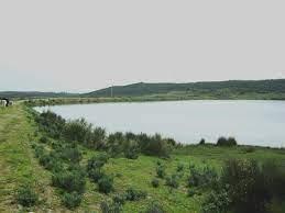 Coto Dehesa Torriviejo