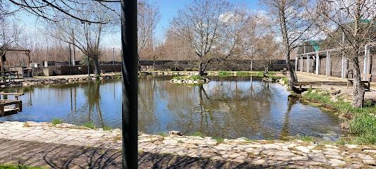 Coto Aula del Río Miguel Delibes (Río Porma)