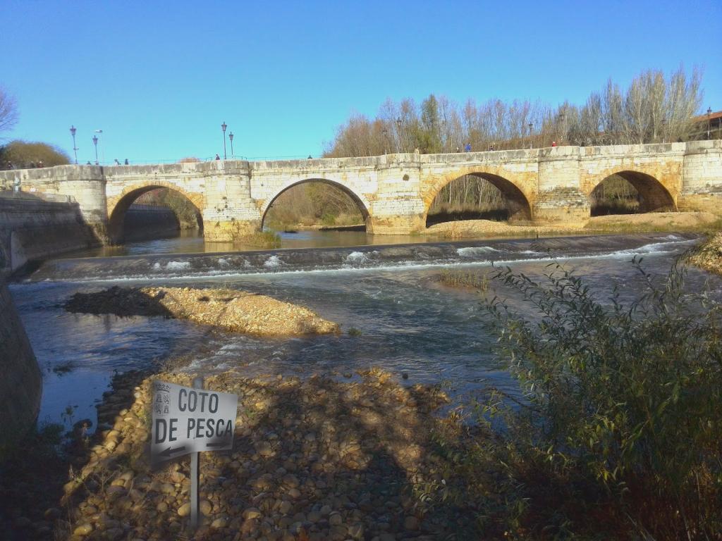 Coto Ciudad de León (Río Bernesga)