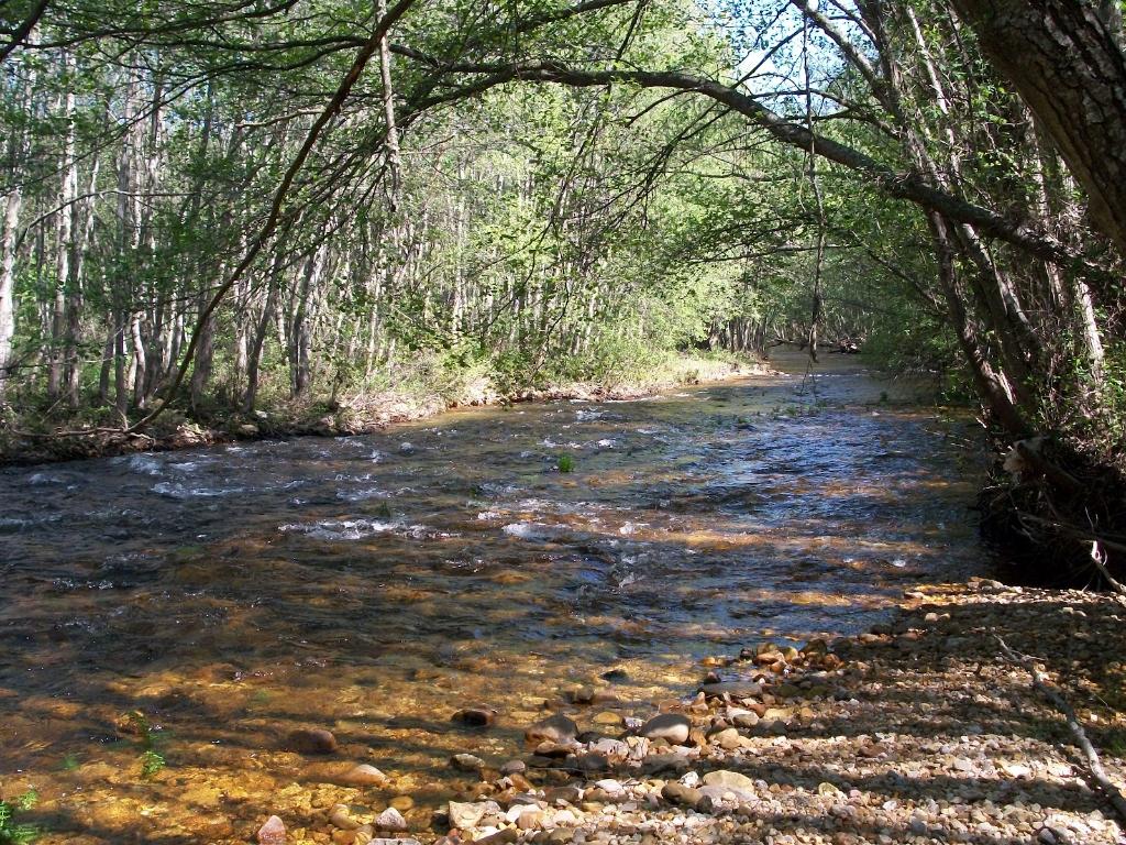 Coto Duerna (Río Duerna)