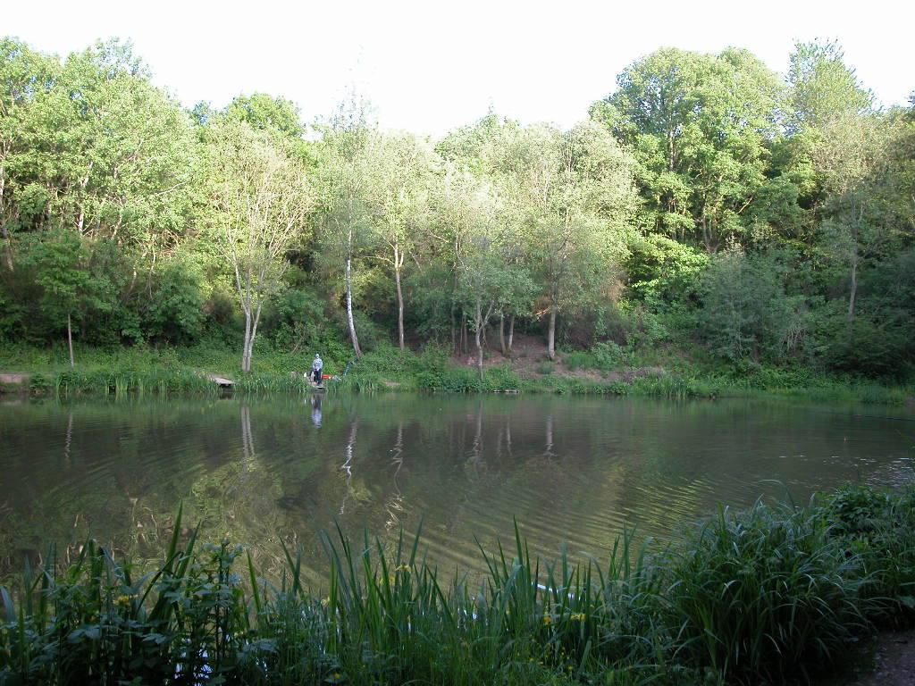 Forellenparadies Ottweiler