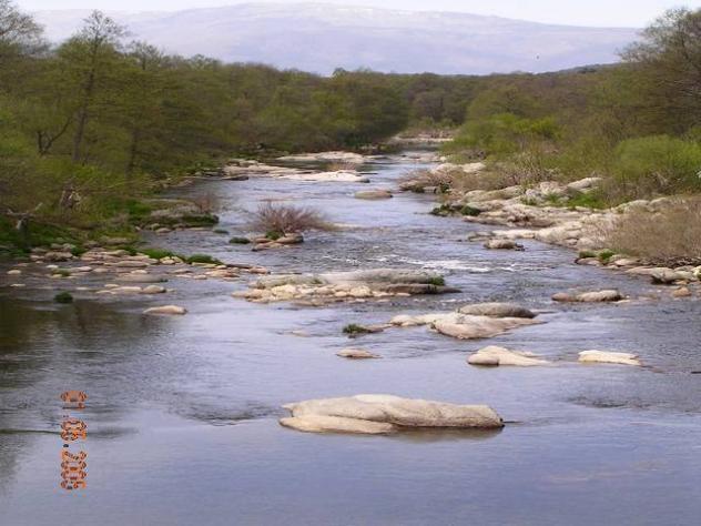 AREC Bohoyo (Río Tormes)