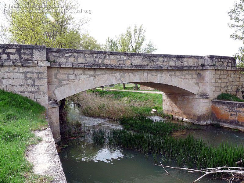 AREC Pinillos de Esgueva (Río Esgueva)