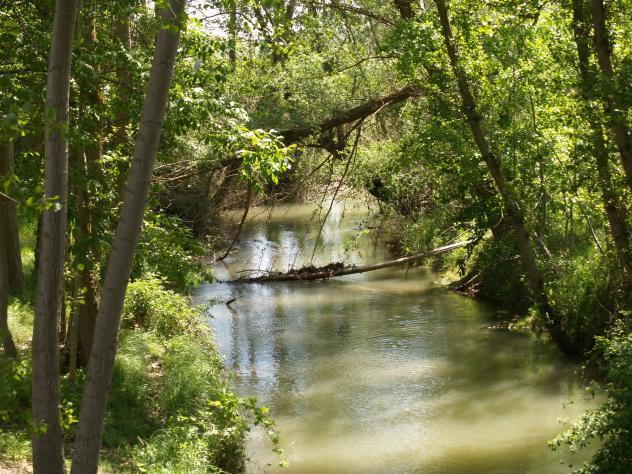 Fuentemolinos - Pesca del Cangrejo (Río Riaza)