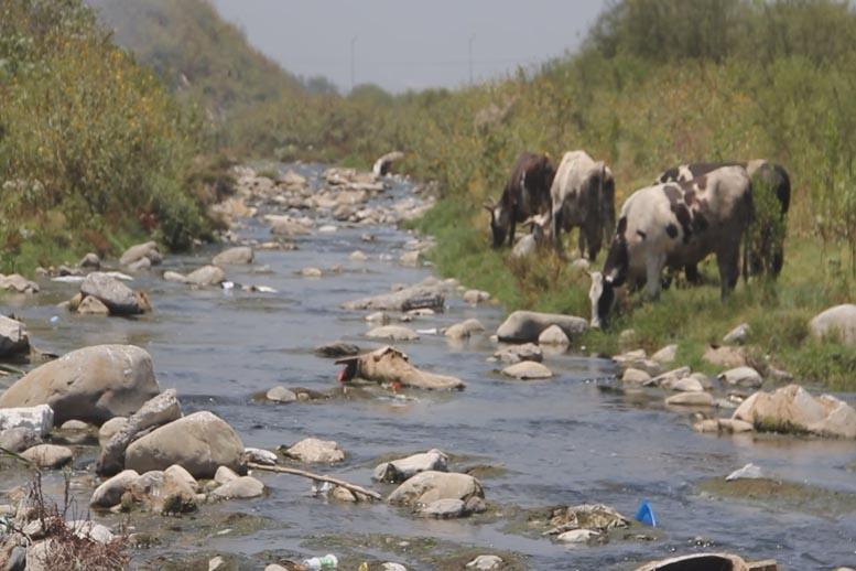 EDS San Martín (Río San Martin)