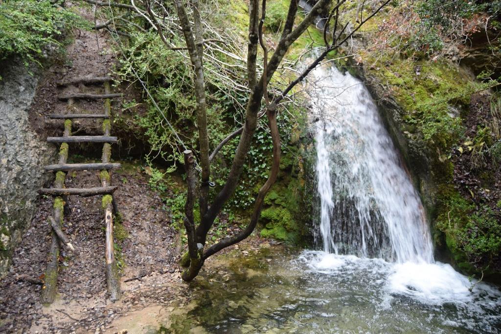 Coto Quintanilla (Río Quintanilla) FECHA ESPECIAL