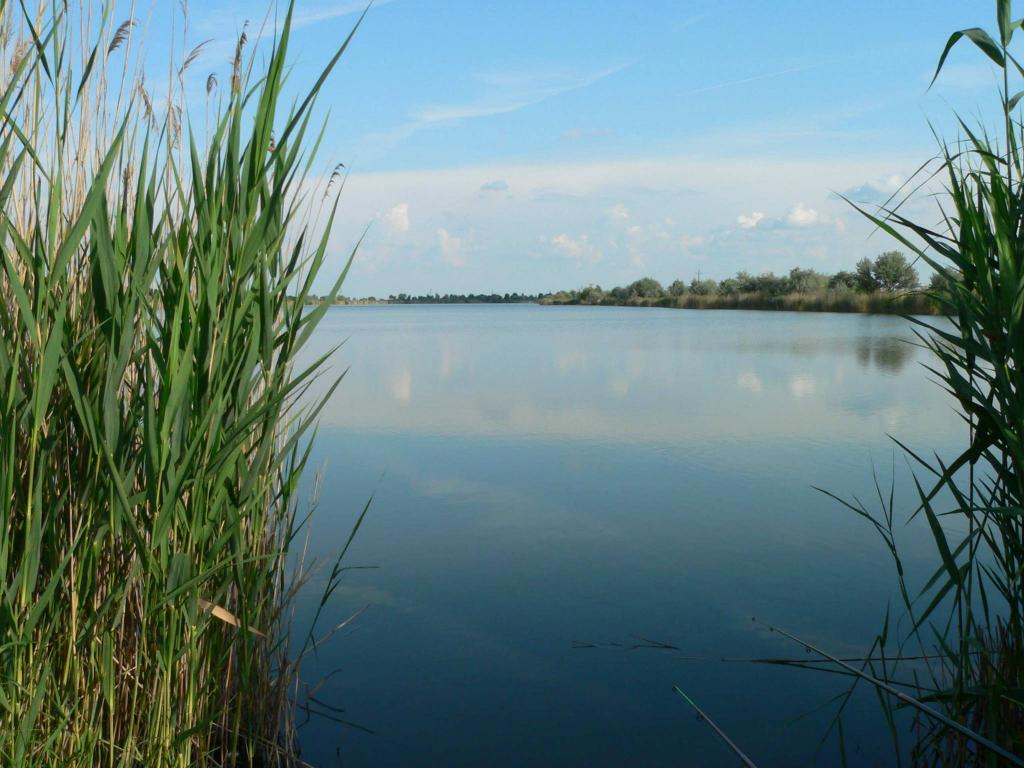 Csaba-tó, Matróz Sporthorgász Egyesület
