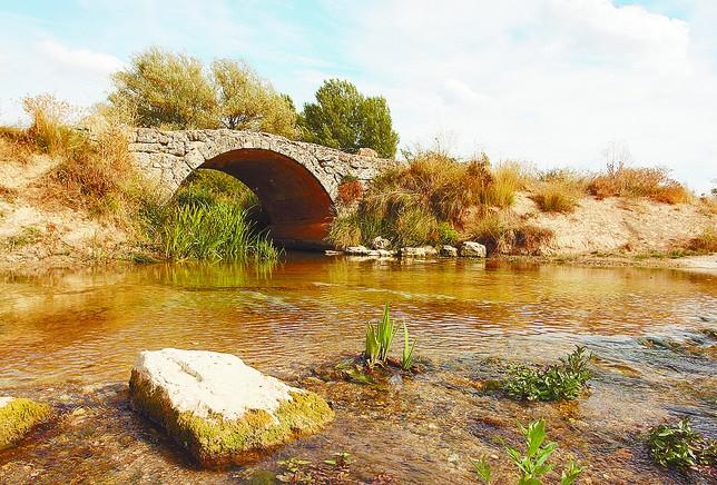 Gumiel de Izán - Pesca del Cangrejo (Río Puentevilla)