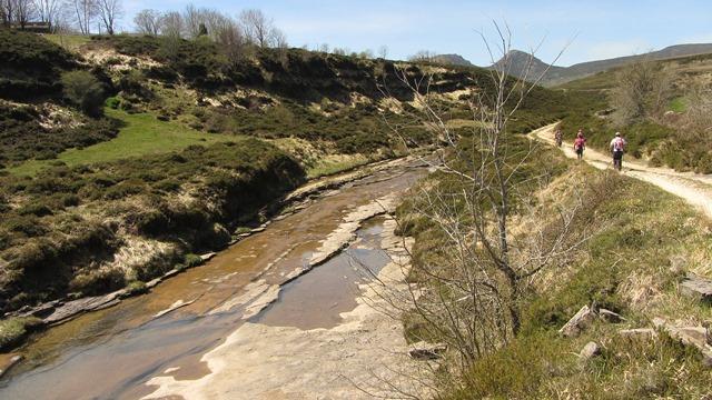 Coto Río Trueba