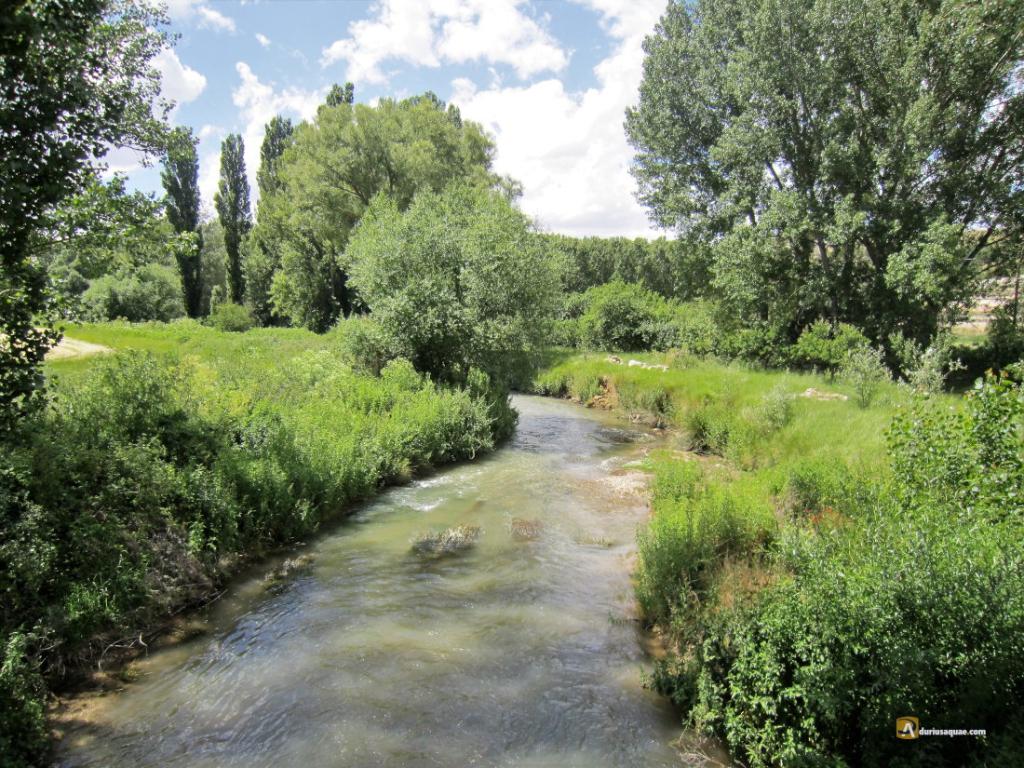 Riaza I - Pesca del Cangrejo