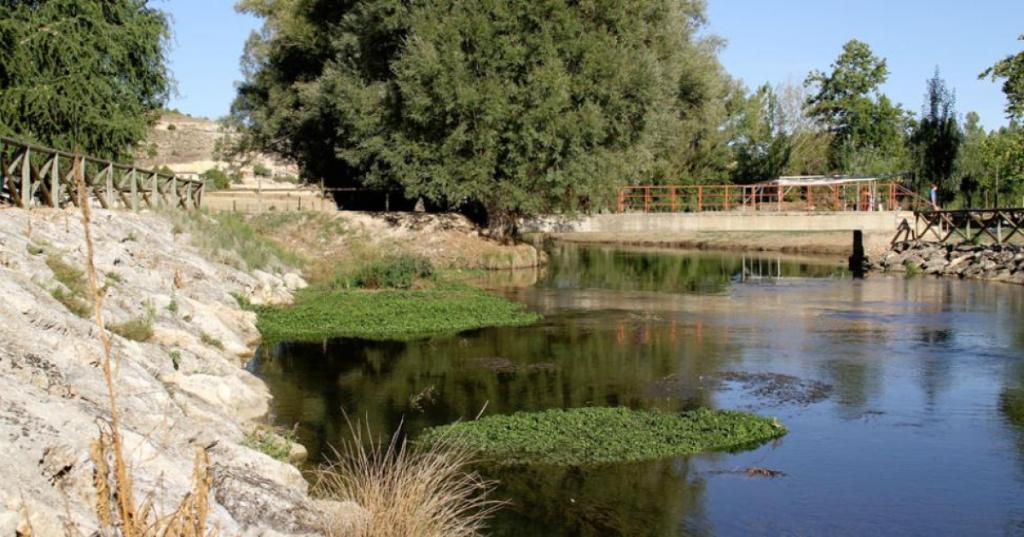 Riaza III - Pesca del Cangrejo