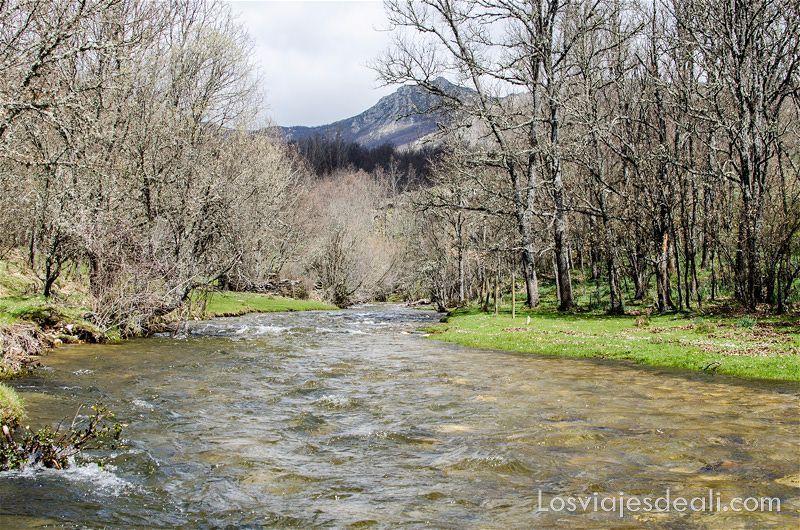 Coto Campozares (Arroyo Campozares)