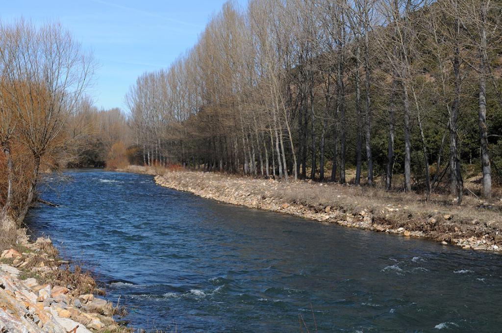 Río Bernesga - Pesca del Cangrejo