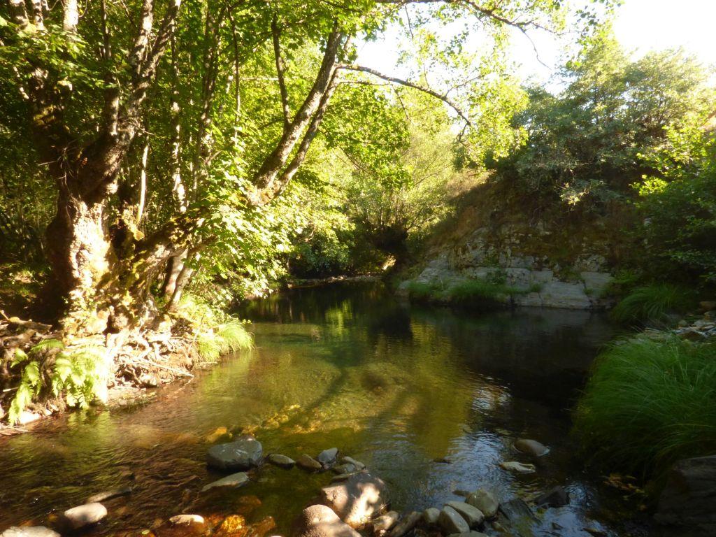 Río Burbia - Pesca del Cangrejo