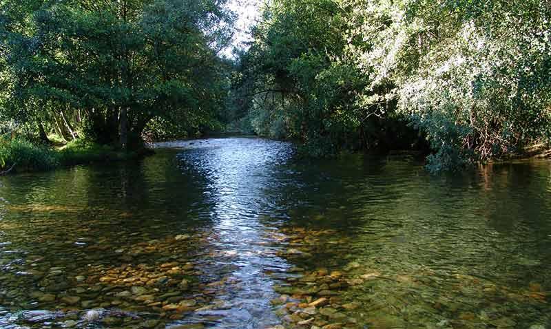 Pelgo - Pesca del Cangrejo (Río Burbia)