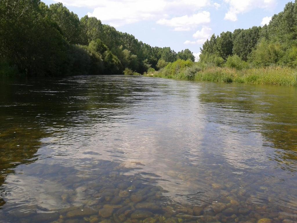 Carrizo - Pesca del Cangrejo (Río Orbigo)