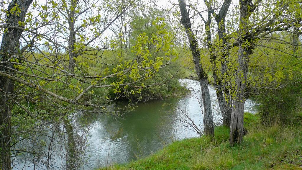 Cea - Pesca del Cangrejo (Fecha especial)