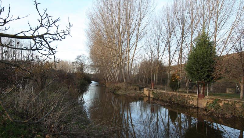 Orbigo V (Fecha Especial)