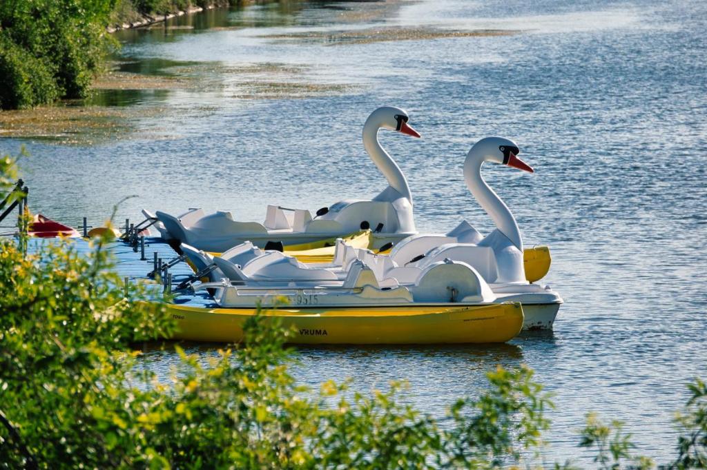 Esla IV ( Fecha Especial)