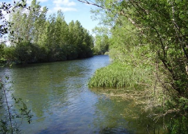 Esla V ( Fecha Especial)